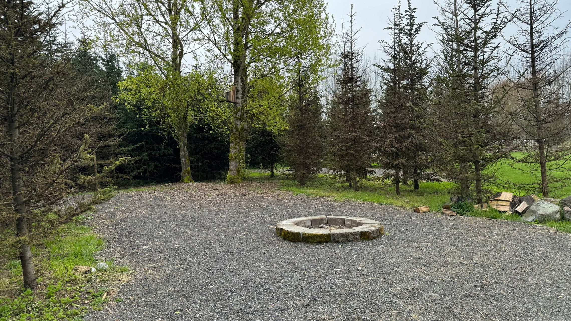 Fire Pit & Private Cove | Main Feild